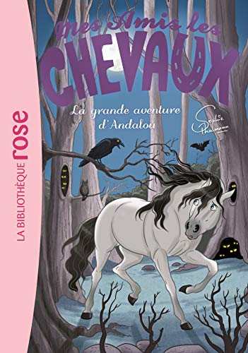 Mes amis les chevaux. Vol. 21. La grande aventure d'Andalou