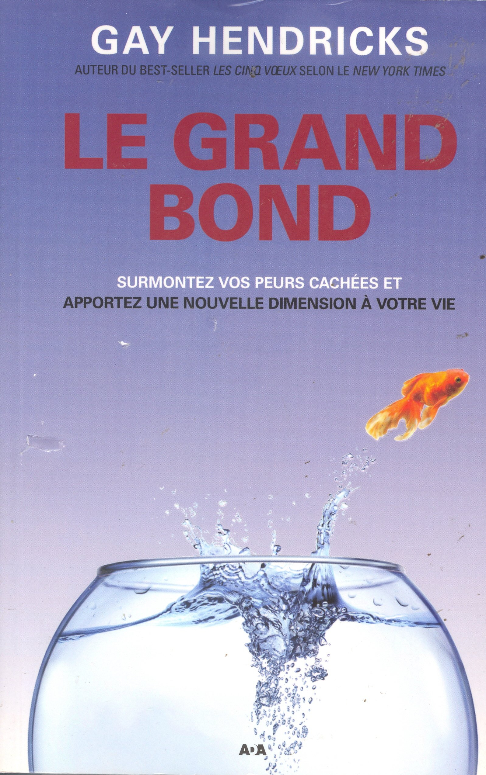 Le grand bond : surmontez vos peurs cachées et apportez une nouvelle dimension à votre vie