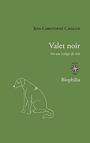 Valet noir : vers une écologie du récit