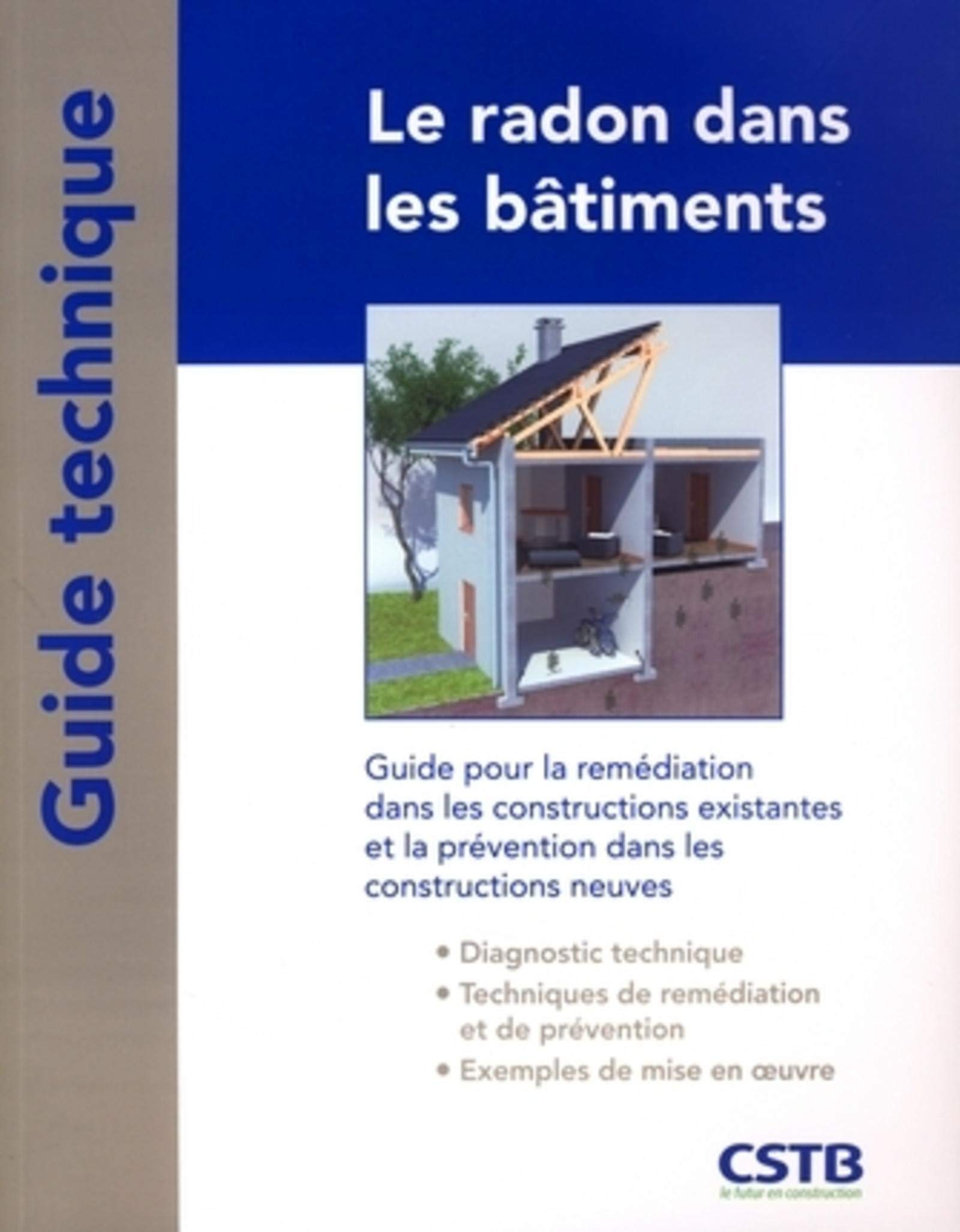 Le radon dans les bâtiments : guide pour la remédiation dans les constructions existantes et la prév