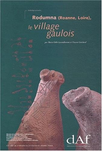 Rodumna (Roanne, Loire), le village gaulois