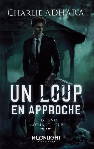 Un loup en approche : Le grand méchant loup 2