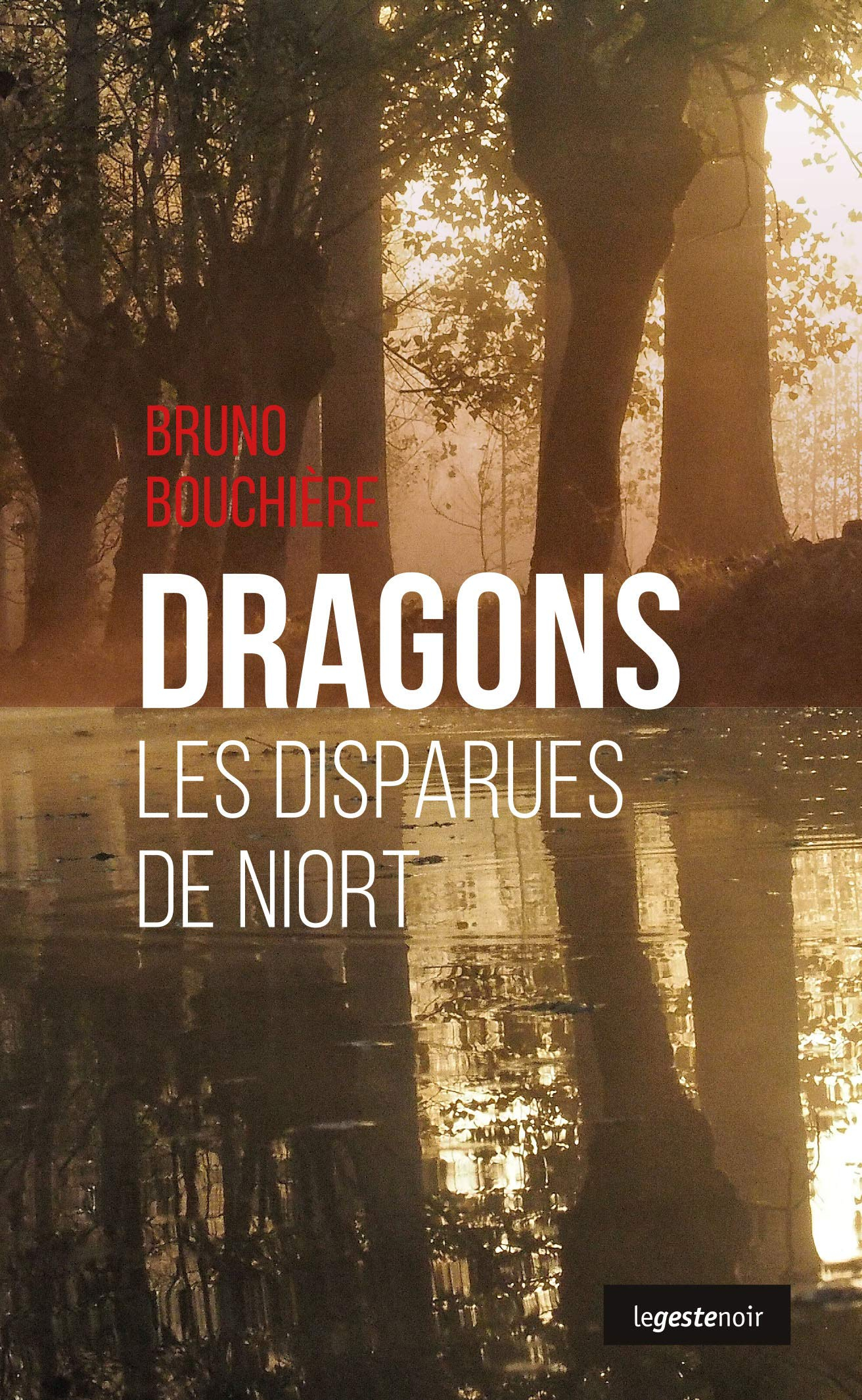 Dragons : les disparues de Niort