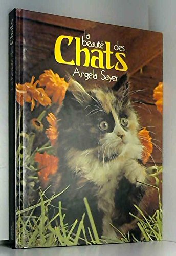 la beauté des chats