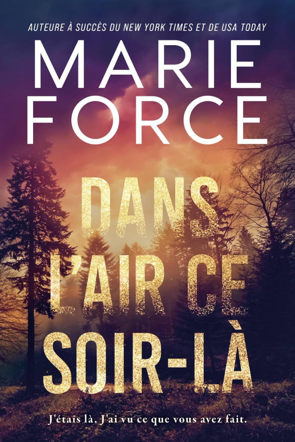 Dans l’air ce soir-là