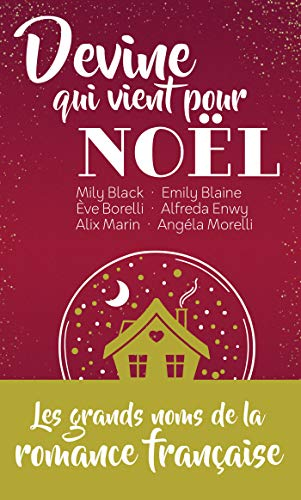 Devine qui vient pour Noël : recueil
