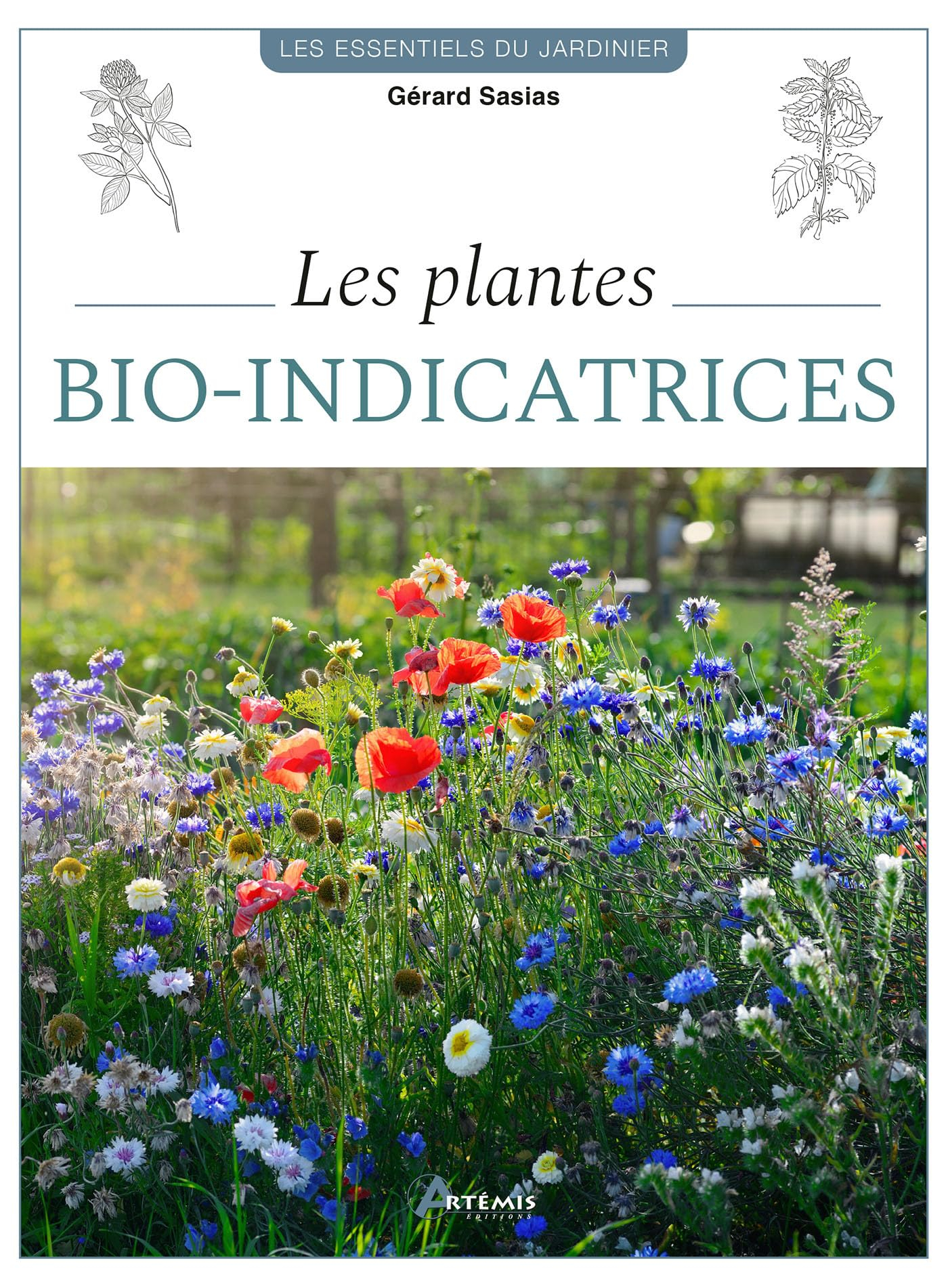 Les plantes bio-indicatrices : optimisez votre terrain grâce aux plantes