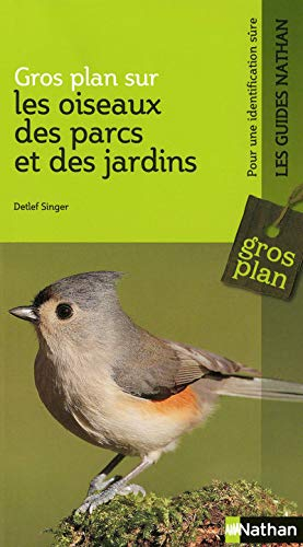 Gros plan sur les oiseaux des parcs et des jardins