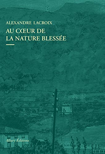 Au coeur de la nature blessée : apprendre à voir les paysages du XXIe siècle : essai