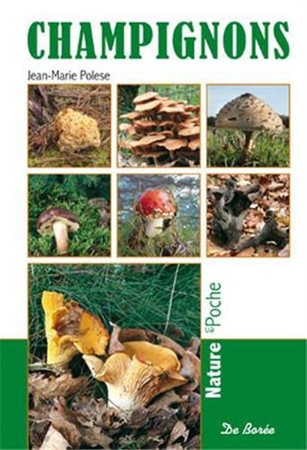 Champignons