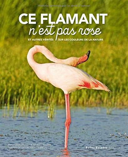 Ce flamant n'est pas rose : et autres vérités sur les couleurs de la nature