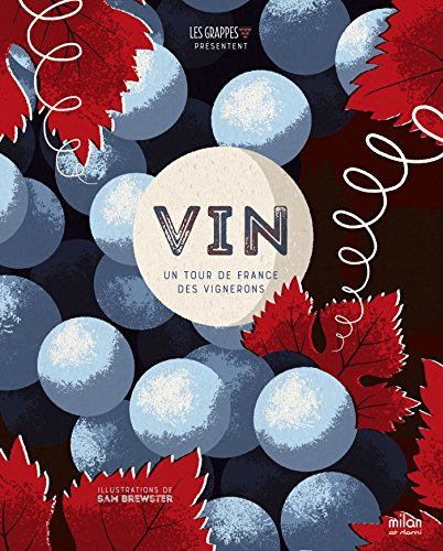 Vin : un tour de France des vignerons