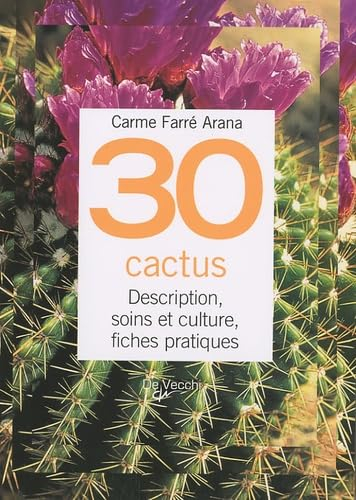 30 cactus : description, soins et culture, fiches pratiques