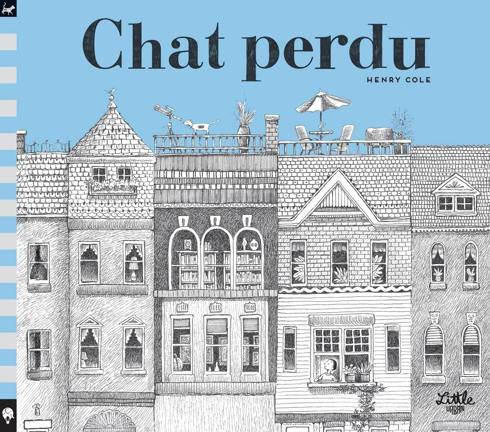 Chat perdu