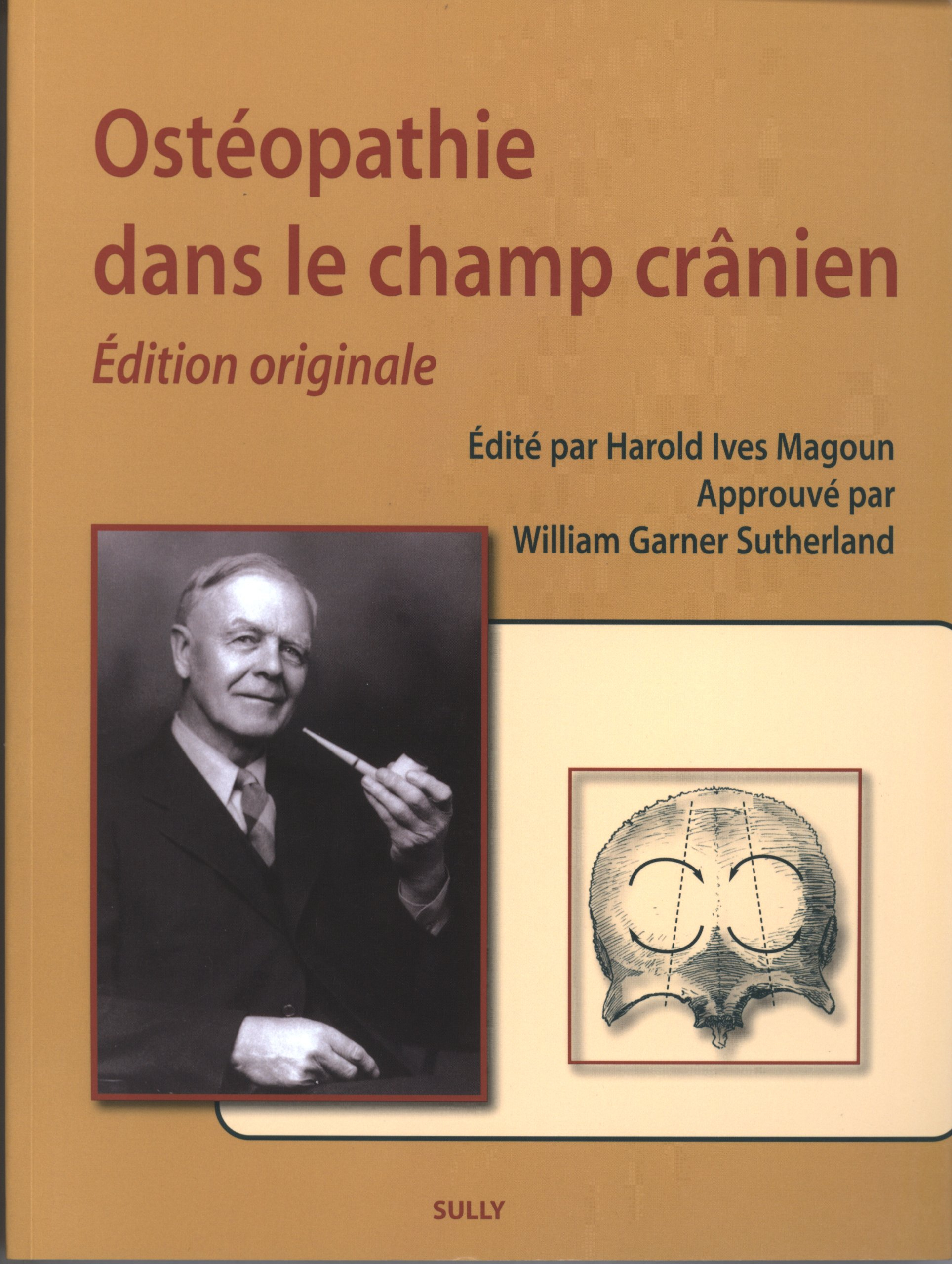Ostéopathie dans le champ crânien