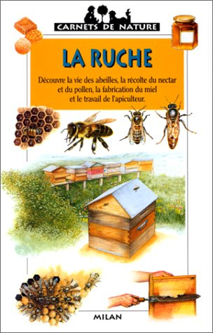 la ruche