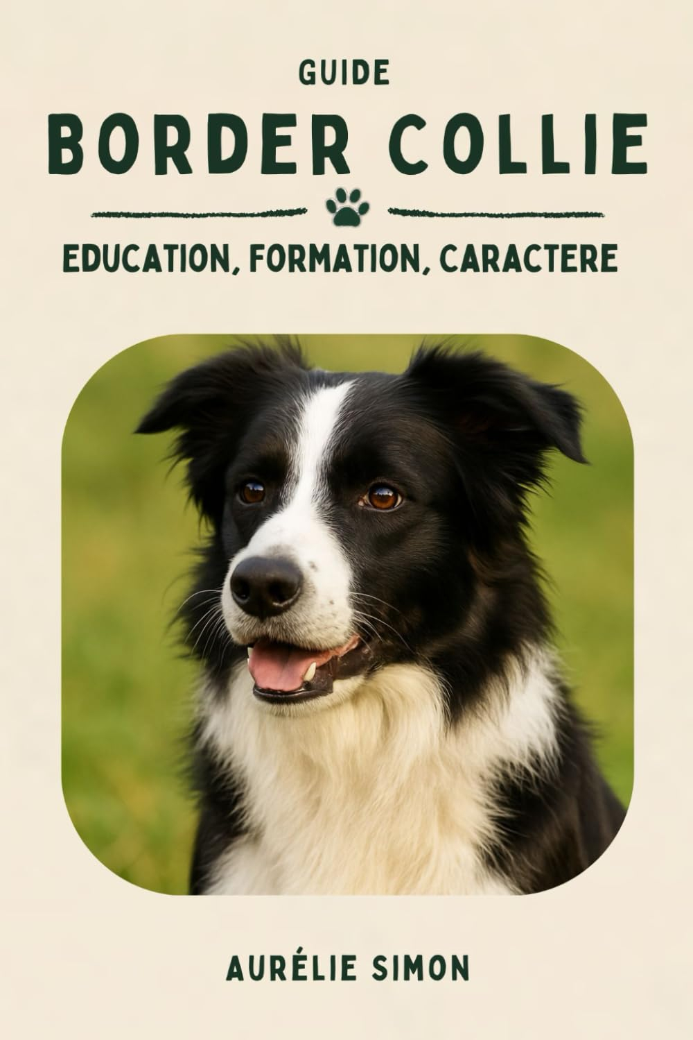 Border Collie: Education, Formation, Caractère