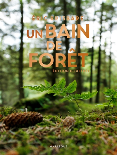 Un bain de forêt : découvrez le pouvoir de la sylvothérapie