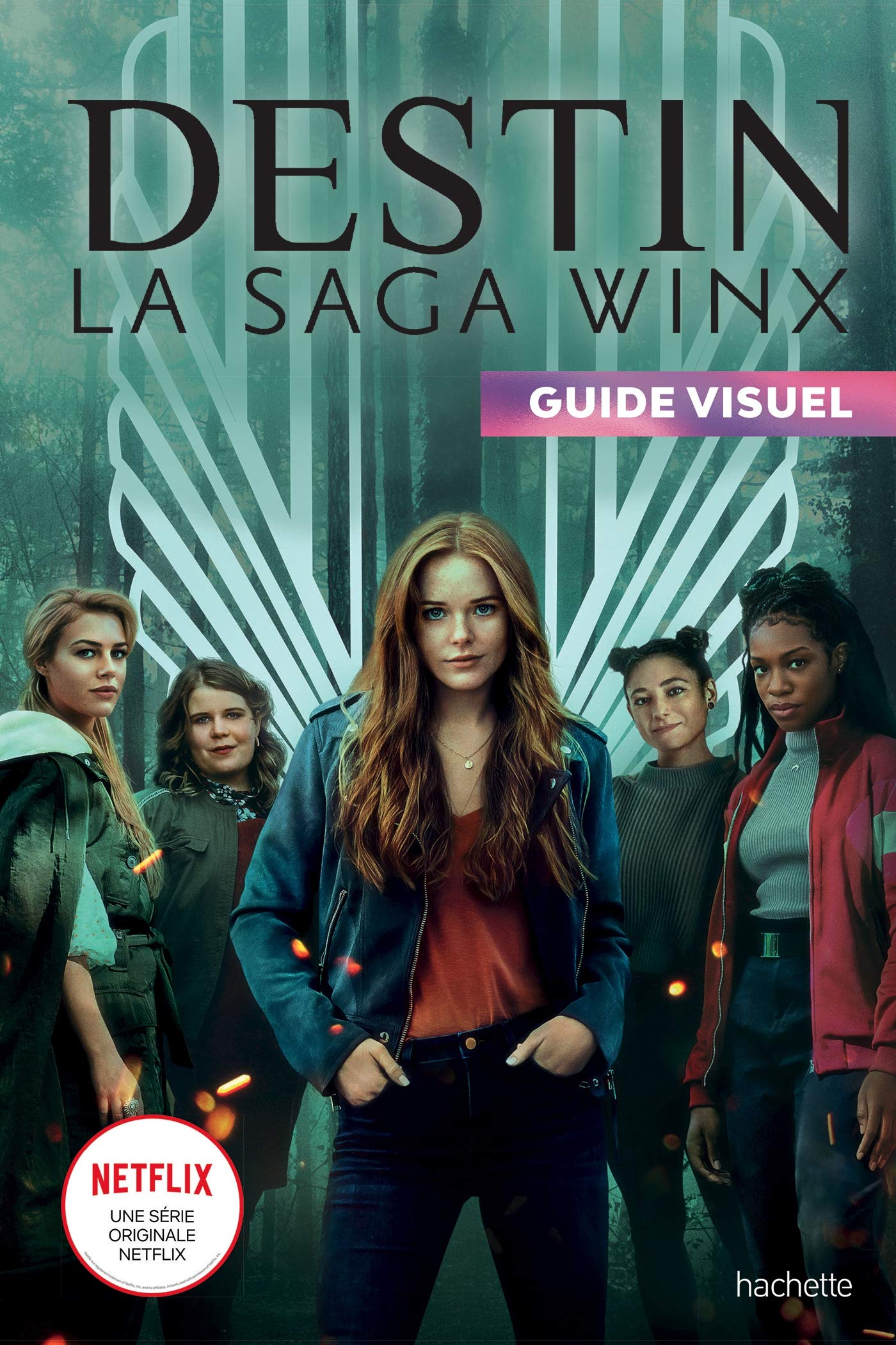 Destin, la saga Winx : guide visuel