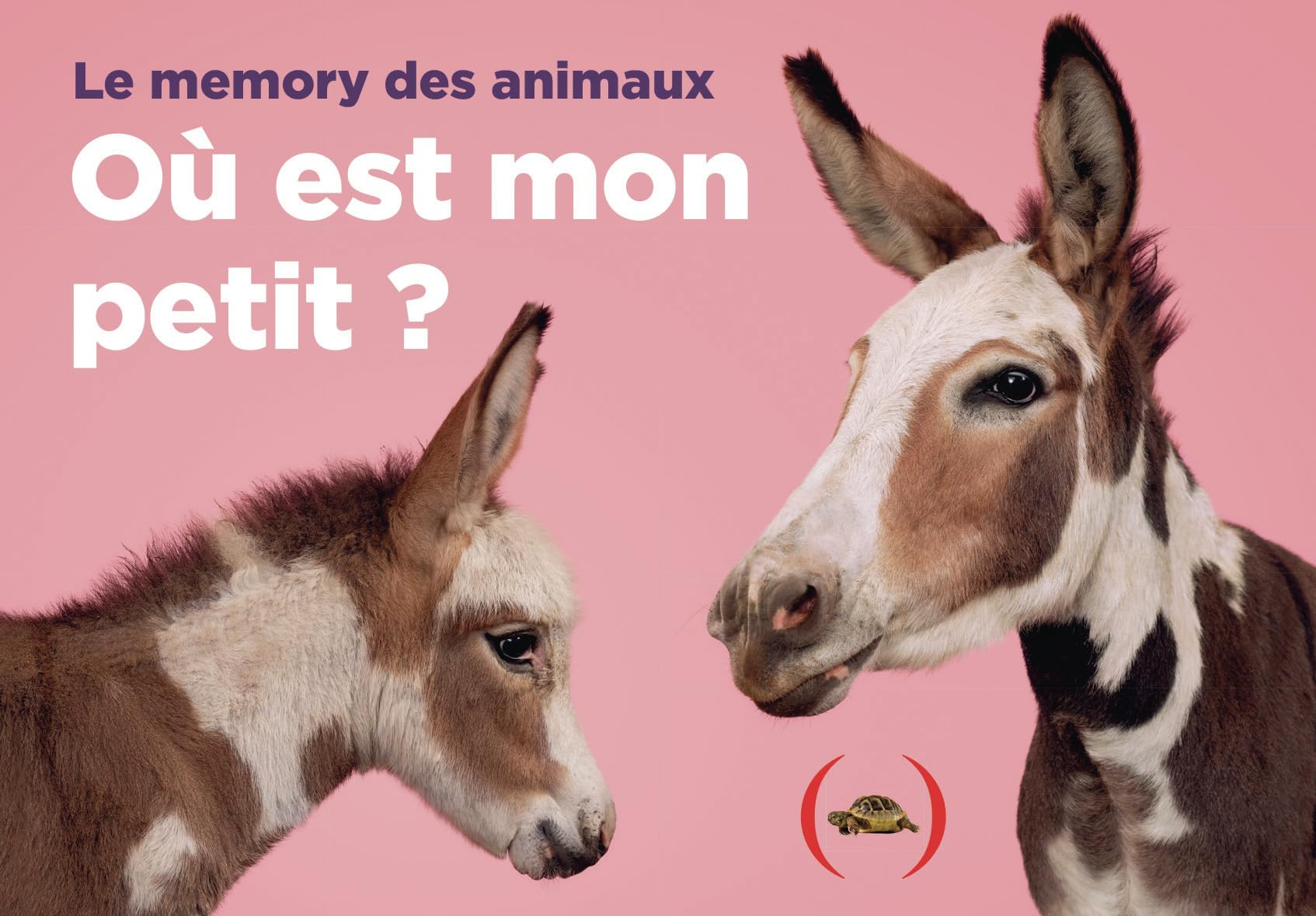 Où est mon petit ? : le memory des animaux