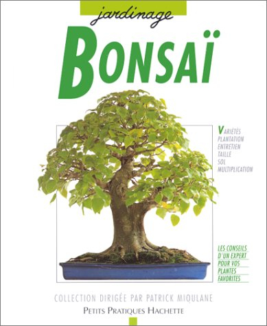 bonsaï d'intérieur