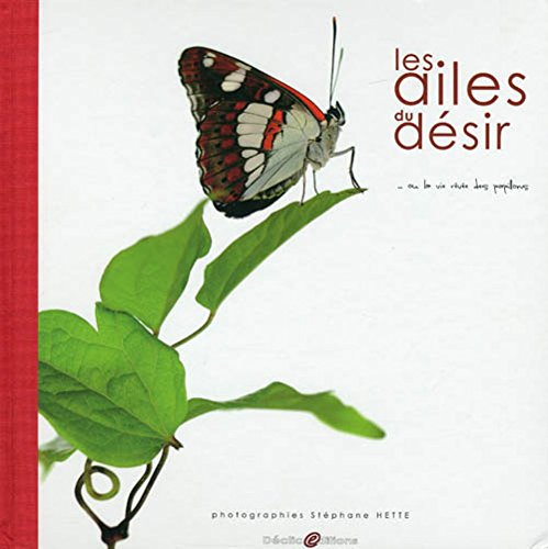 Les ailes du désir... ou La vie rêvée des papillons. The wings of desire... or Butterflies dream lif