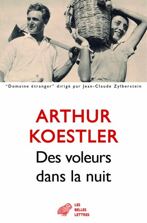 Des voleurs dans la nuit