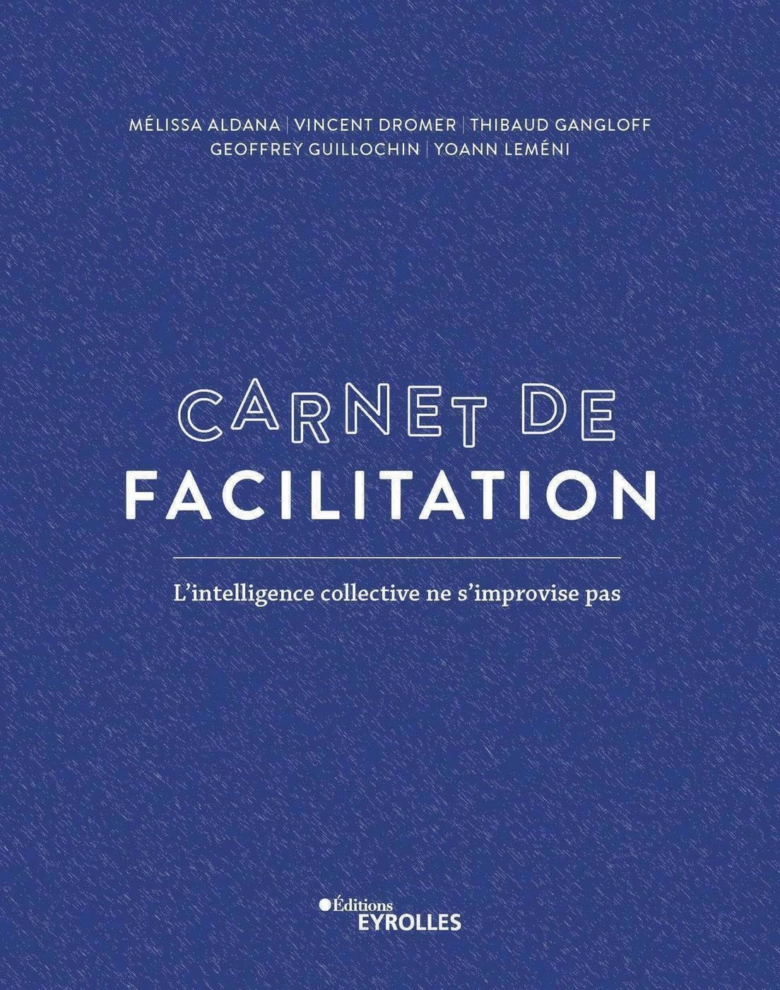 Carnet de facilitation : l'intelligence collective ne s'improvise pas