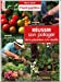 Réussir son potager de la plantation à la récolte