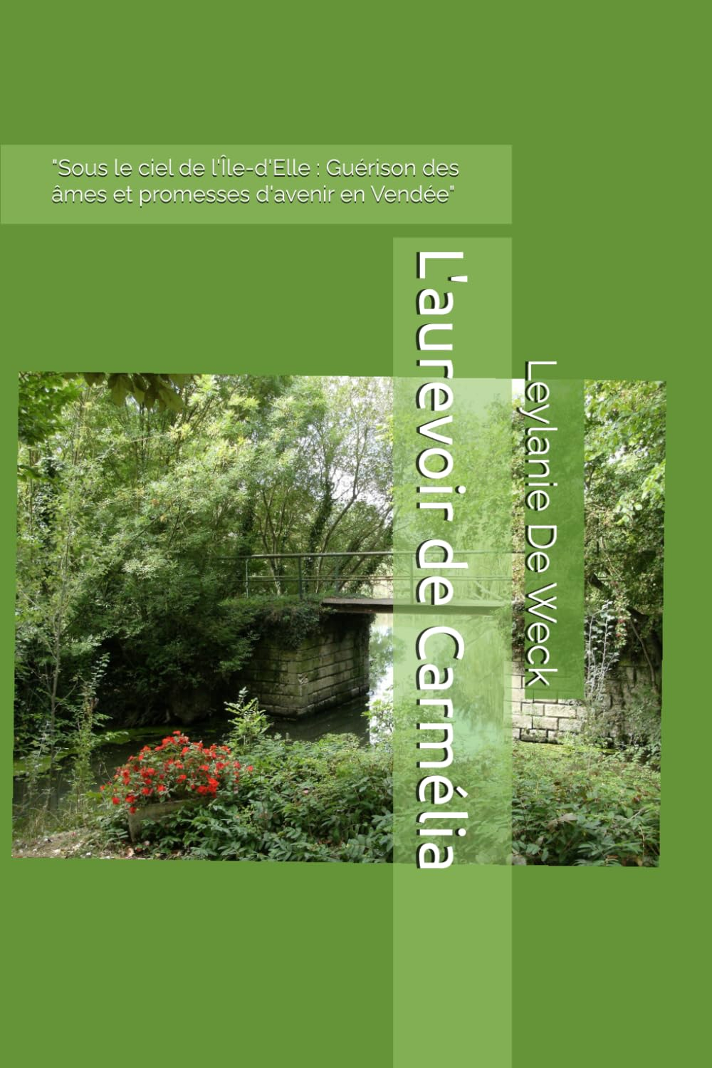 L'aurevoir de Carmélia: "Sous le ciel de l'Île-d'Elle : Guérison des âmes et promesses d'avenir en V