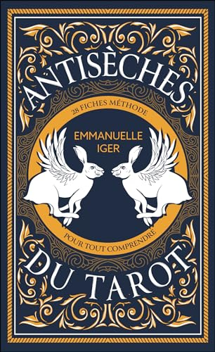 Antisèches du tarot: 28 fiches méthode pour tout comprendre