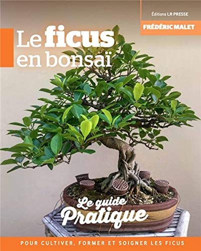 Le ficus en bonsaï : le guide pratique pour cultiver, former et soigner les ficus