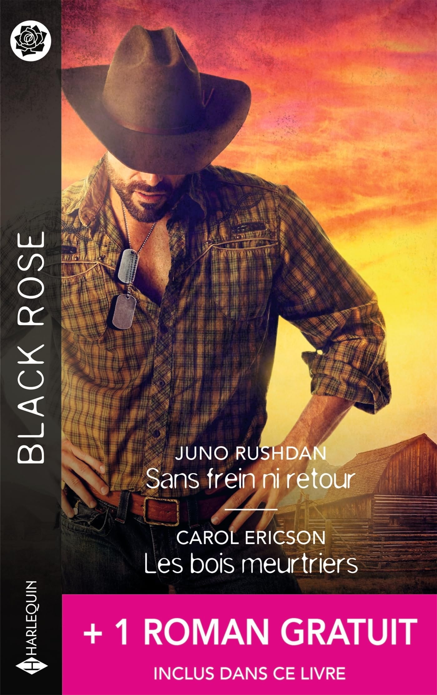 Sans frein ni retour. Les bois meurtriers