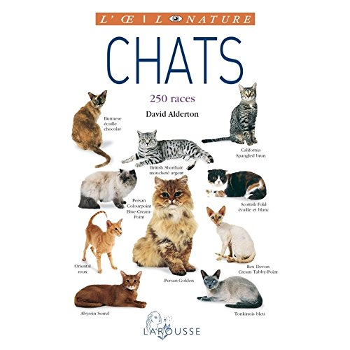 Chats : 250 races