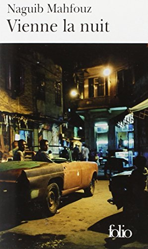Vienne la nuit