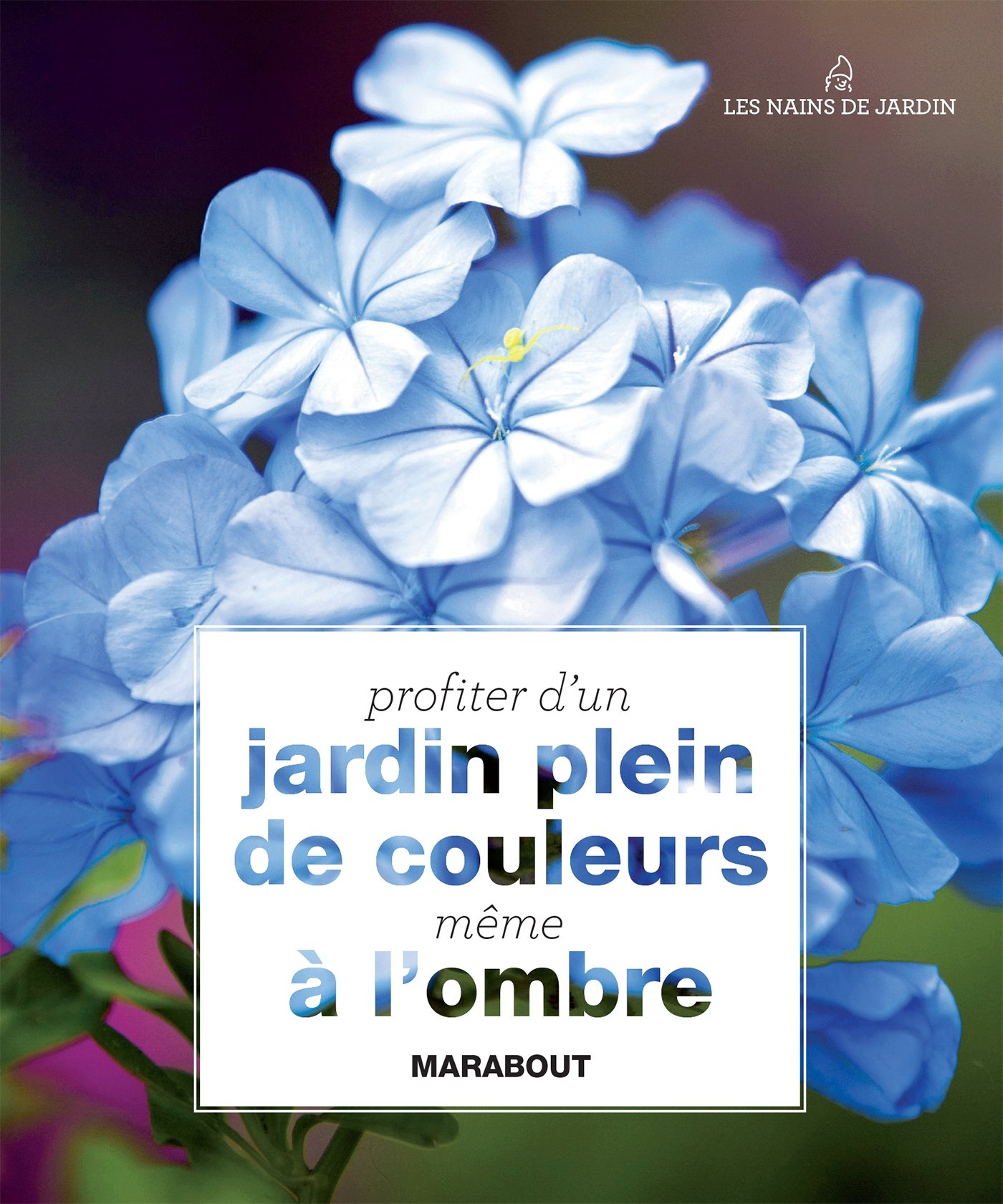 Profiter d'un jardin plein de couleurs même à l'ombre