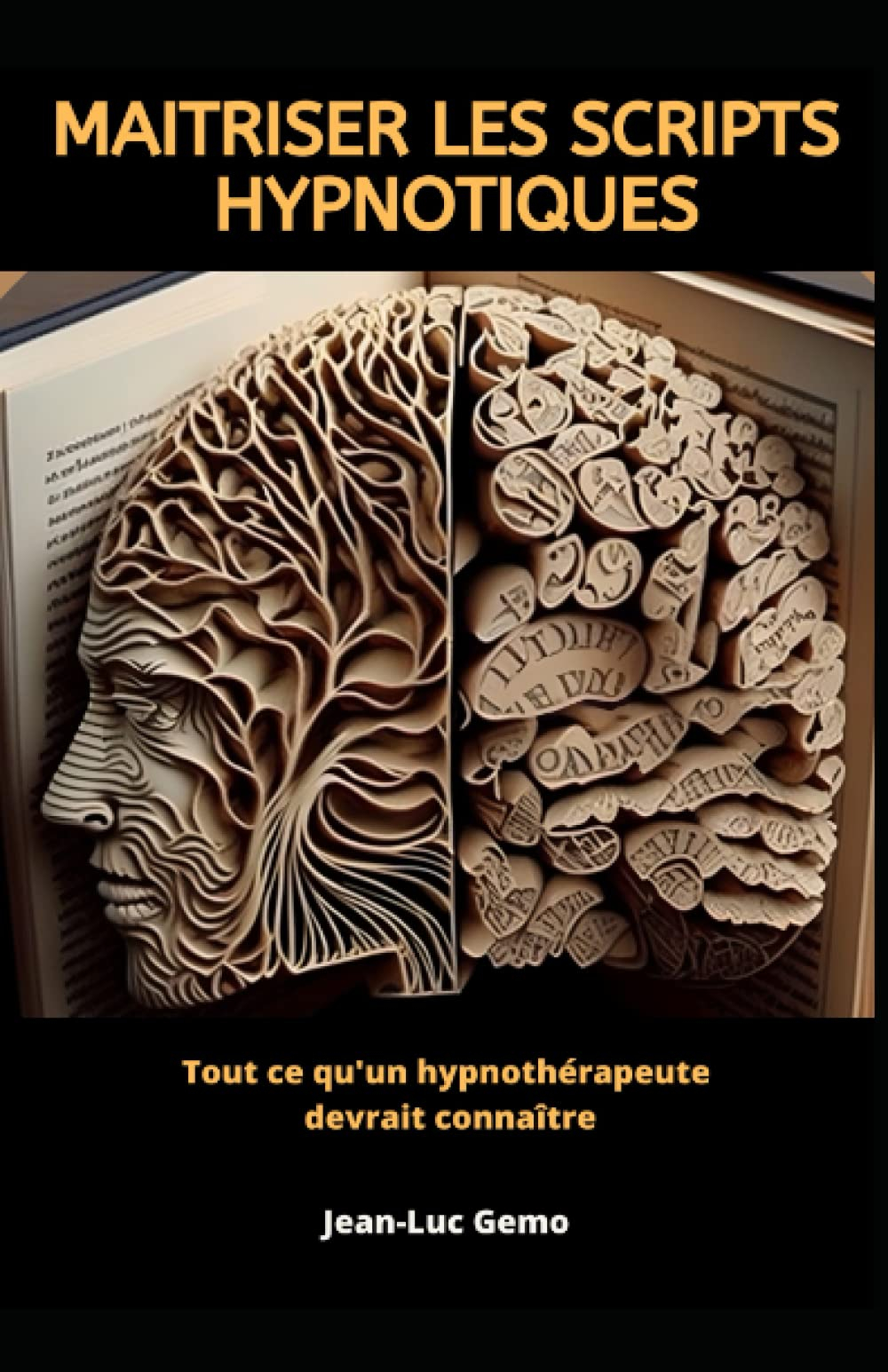 Maîtriser les scripts hypnotiques: Tout ce qu’un hypnothérapeute Devrait connaître
