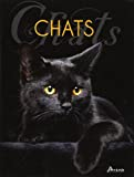 Chats