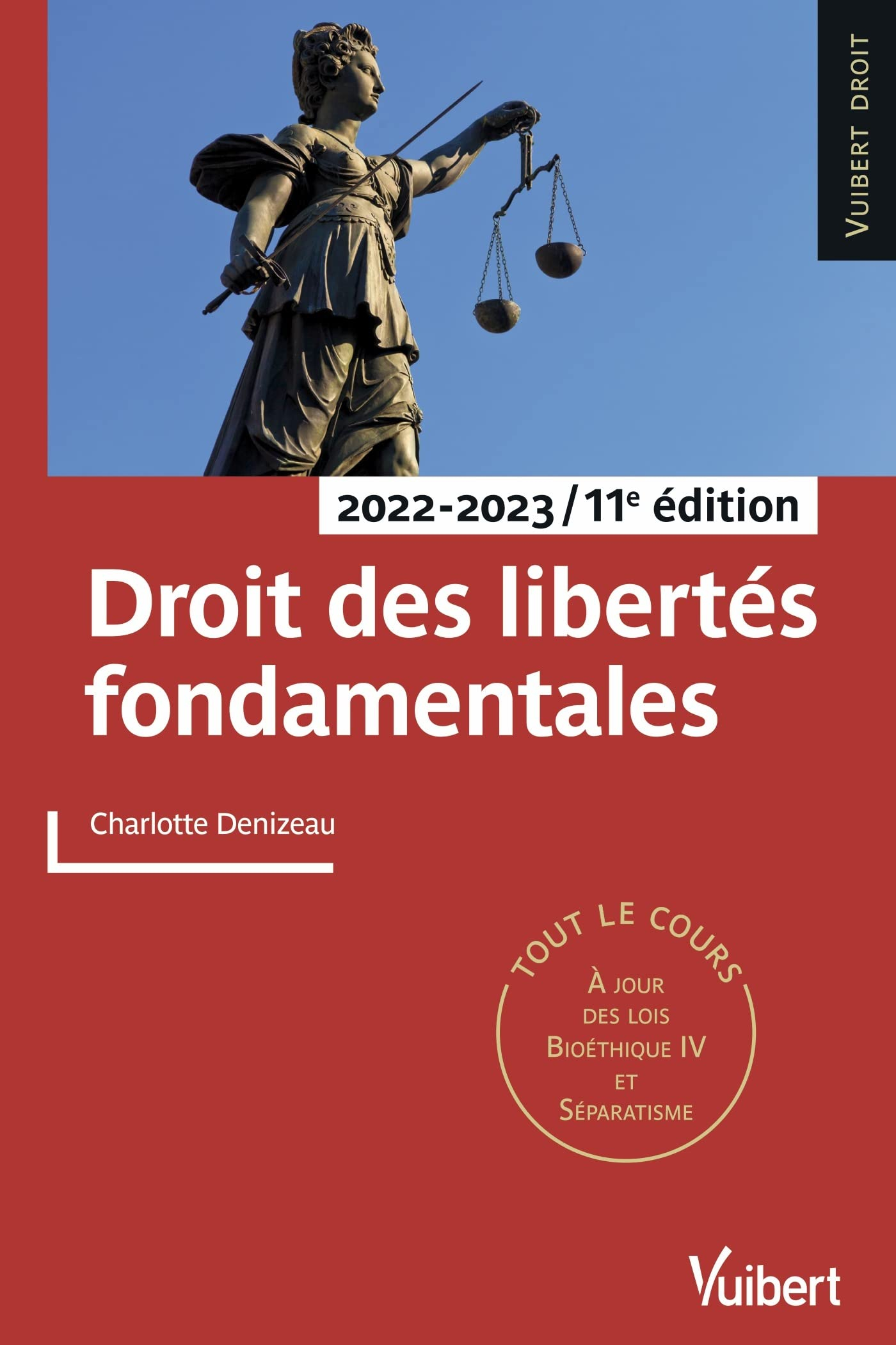 Droit des libertés fondamentales : 2022-2023