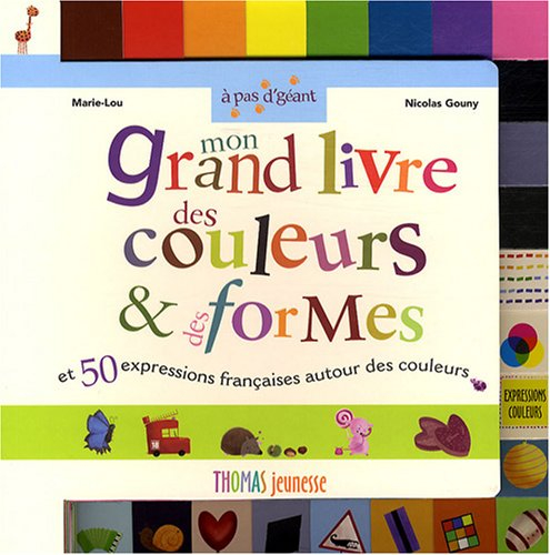 Mon grand livre des couleurs & des formes : et 50 expressions françaises autour des couleurs