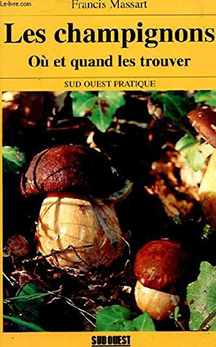 Les champignons : où et quand les trouver