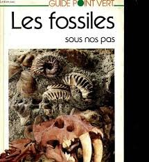 Les Fossiles sous nos pas