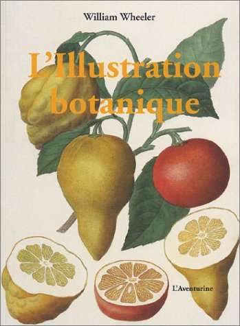 L'illustration botanique