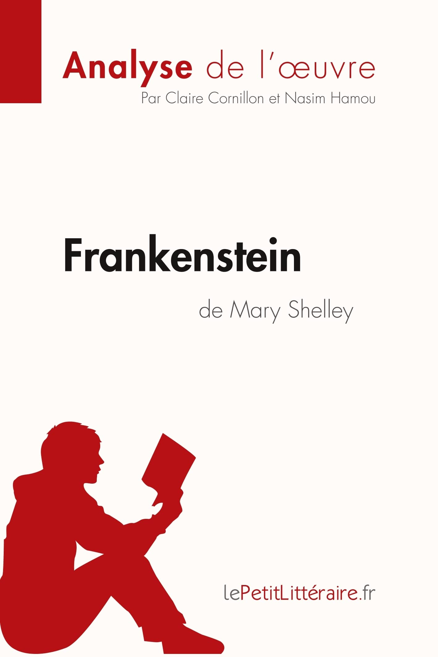 Frankenstein de Mary Shelley (Analyse de l'oeuvre) : Analyse complète et résumé détaillé de l'oeuvre