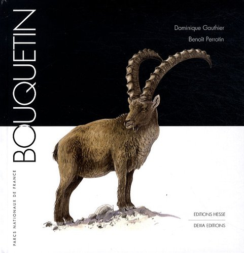 Bouquetin