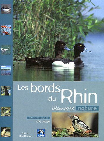 Les bords du Rhin