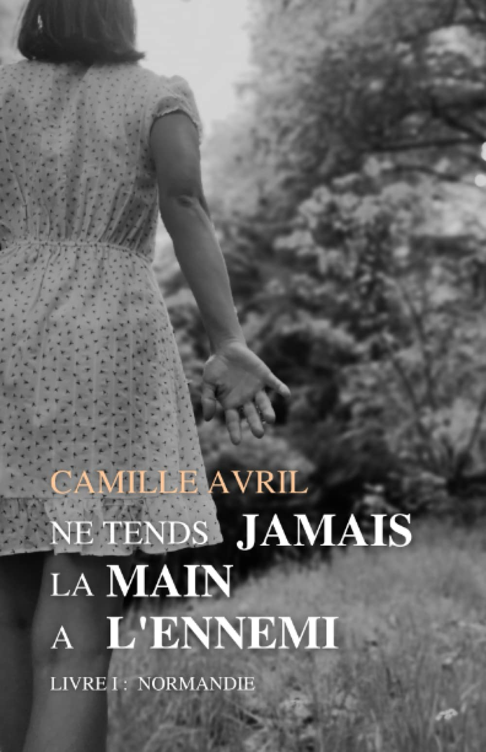 Ne tends jamais la main à l'ennemi: Livre I : Normandie
