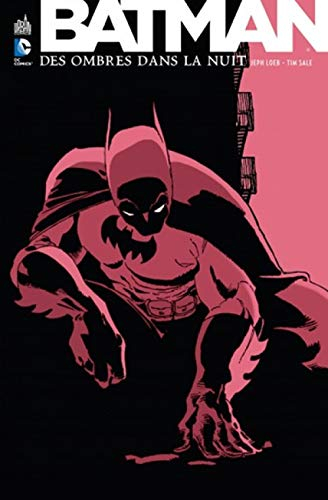 Batman. Des ombres dans la nuit