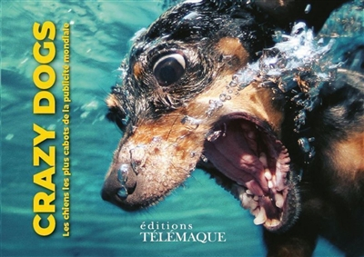 Crazy dogs : les chiens les plus cabots de la publicité mondiale