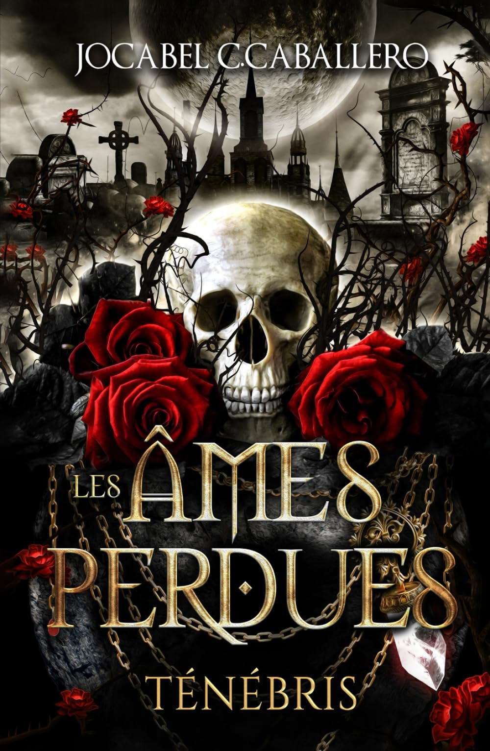 Ténébris - 2. Les Âmes Perdues